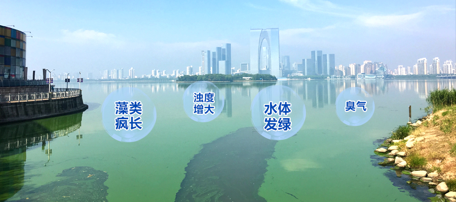 景观河道水质